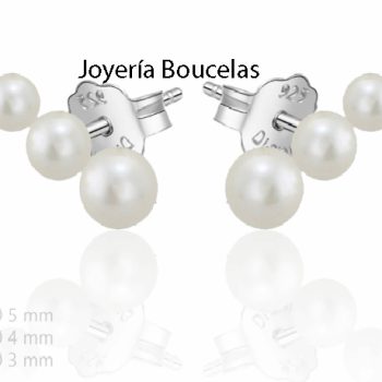 Pendientes Plata Di Plata Chica 2024840