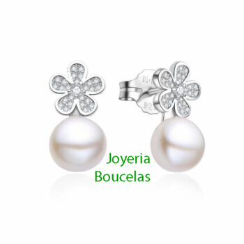 Pendientes Di Plata Chica 2024677