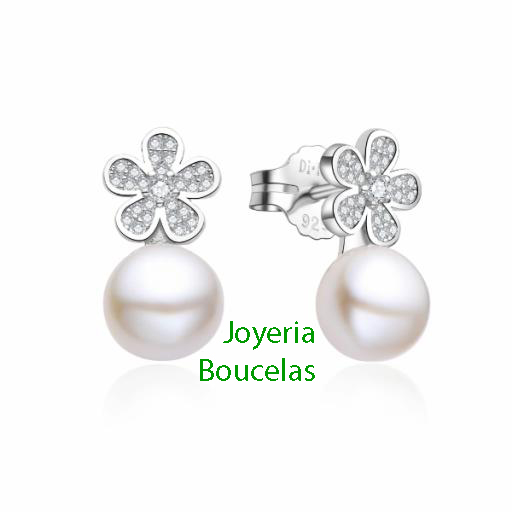 Pendientes Di Plata Chica 2024677