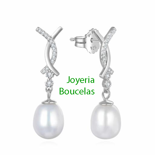 Pendientes Di Plata Chica 2024687