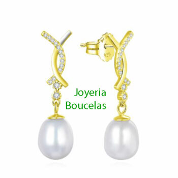 Pendientes Di Plata Chica 2024687/Y