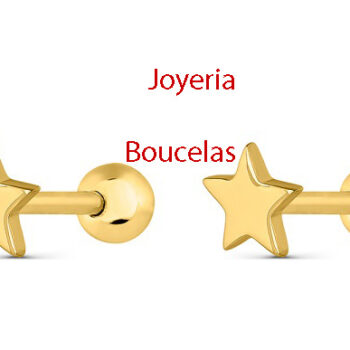 Pendientes Plata Promojoya Chica 9113168
